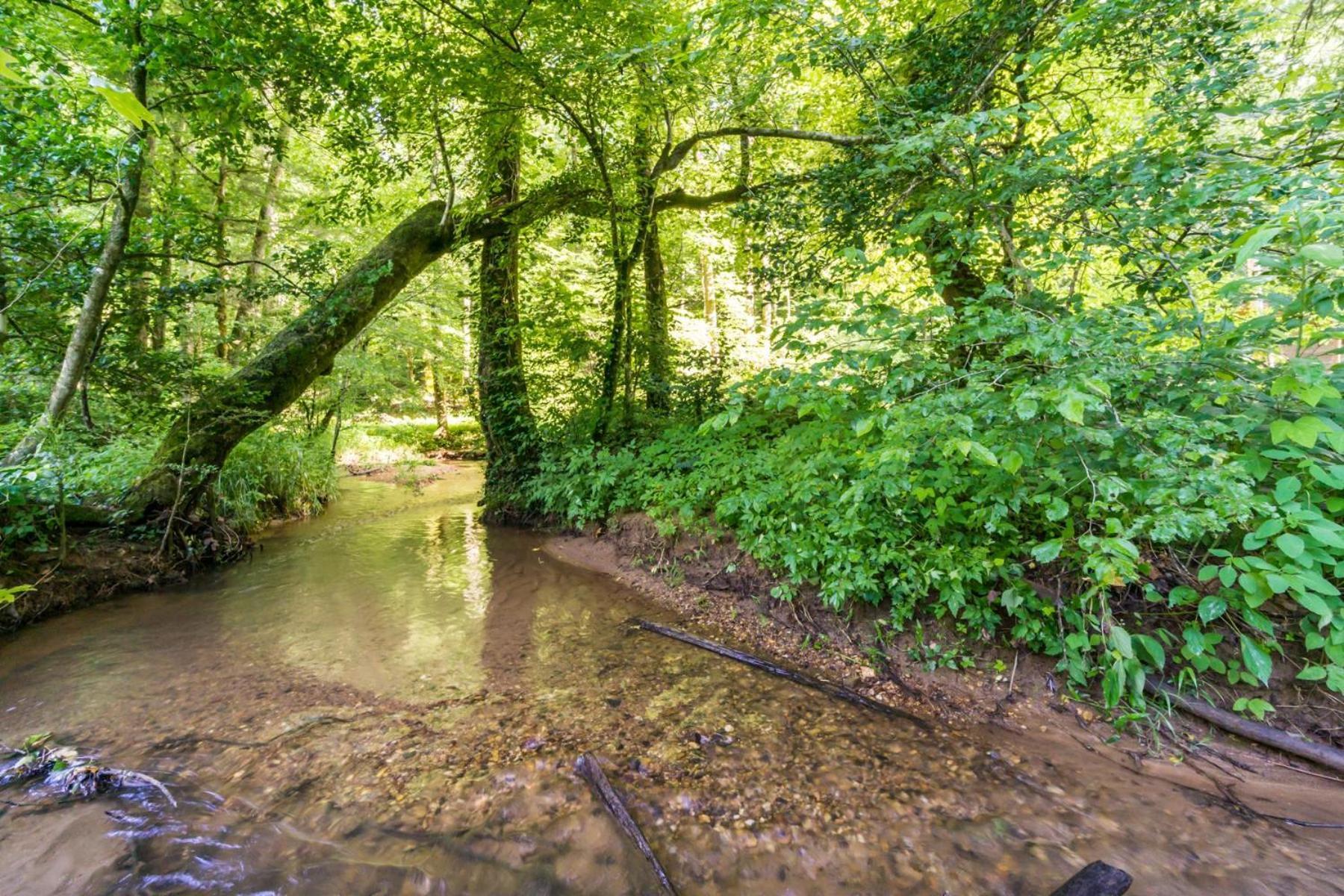 New Listing! Wine Country Retreat - 2 Bed, Hot Tub Villa Dahlonega Luaran gambar